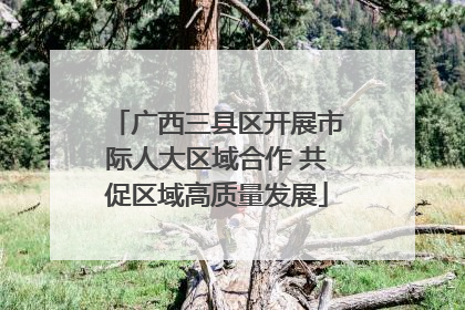 广西三县区开展市际人大区域合作 共促区域高质量发展